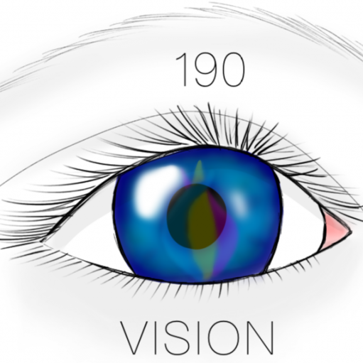 190Vision